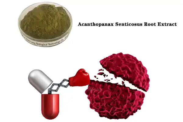 Acanthopanax Senticosus Root Extract.jpg